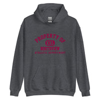 Northview HS Knights - Property of Athletic Dept.  -  Unisex Hoodie