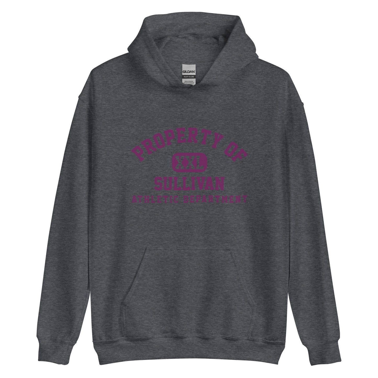 Sullivan HS Golden Arrows - Property of Athletic Dept. -  Unisex Hoodie