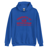 South Putnam HS Eagles - Property of Athletic Dept. - Unisex Hoodie