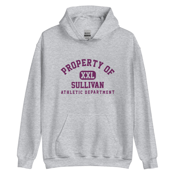 Sullivan HS Golden Arrows - Property of Athletic Dept. -  Unisex Hoodie