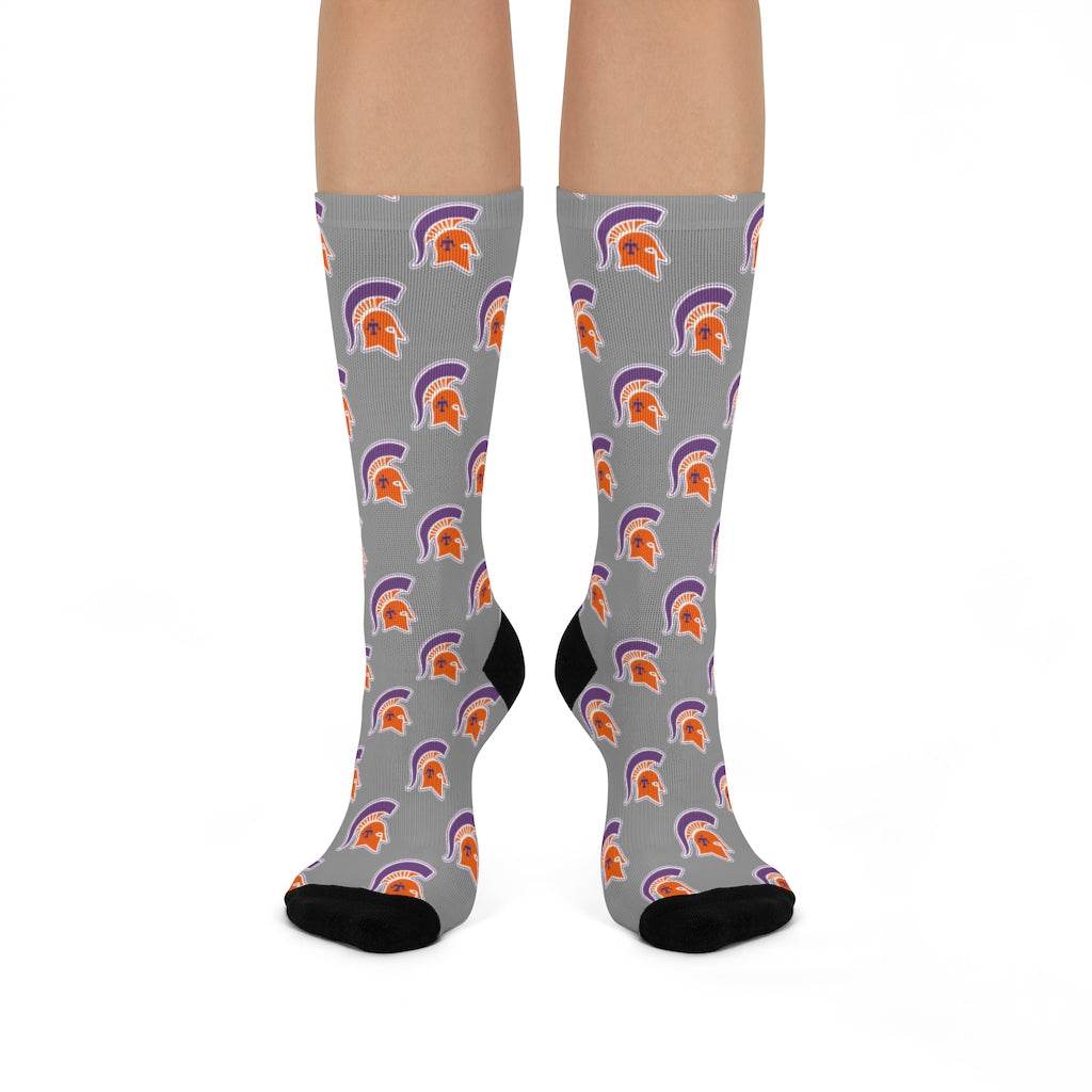 Kansas/Shiloh/Oakland Tri-County Titans - Crew Socks - titans on gray - EdgyHaute