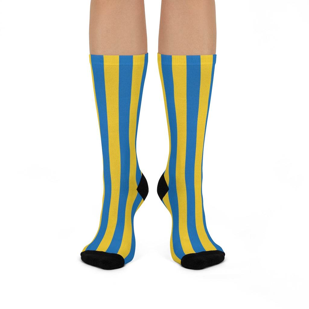 Crestwood School Eagles - Crew Socks - blue and yellow stripes - EdgyHaute