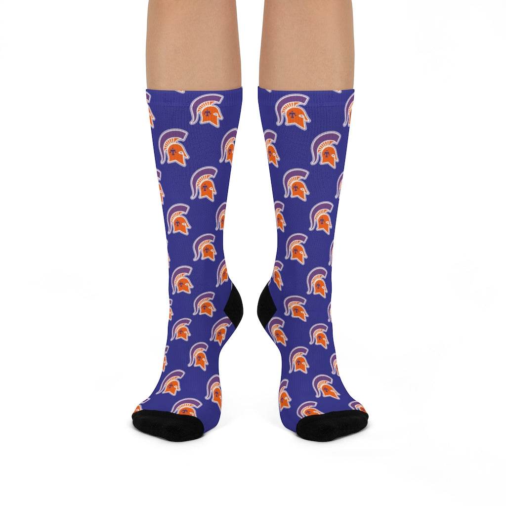 Kansas/Shiloh/Oakland Tri-County Titans - Crew Socks - titans on blue - EdgyHaute